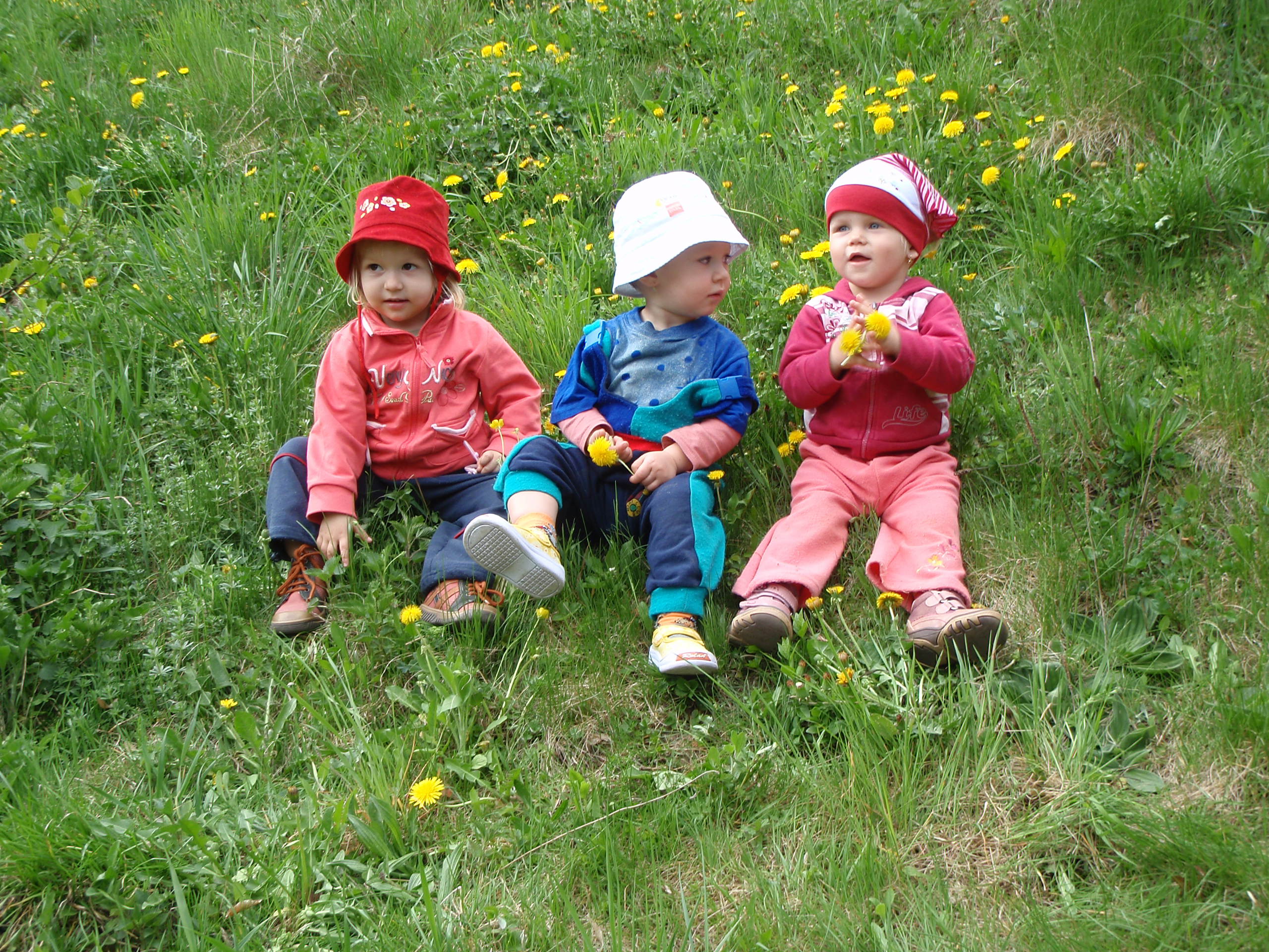 P4182077.JPG