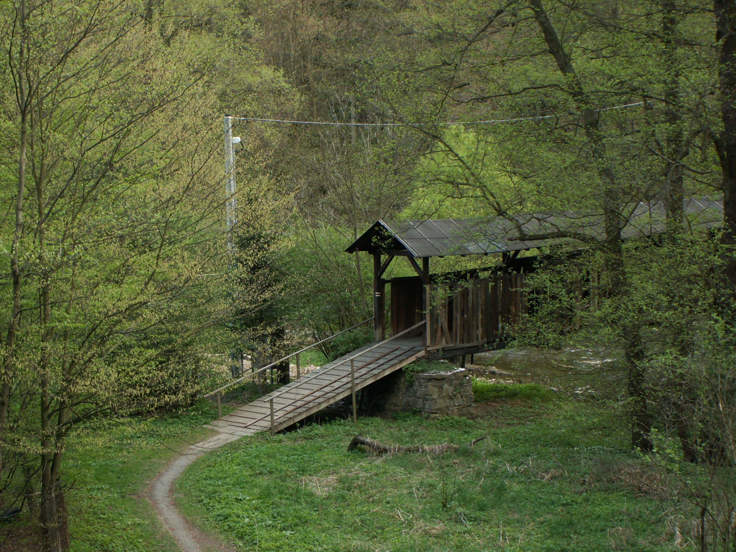 PICT0562.JPG